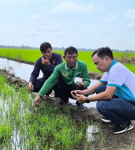 Chuyên gia Phú Mỹ chia sẻ giải pháp tái tạo đất bền vững