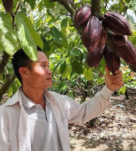 Nông dân Đăk Lăk học làm than sinh học từ vỏ cacao
