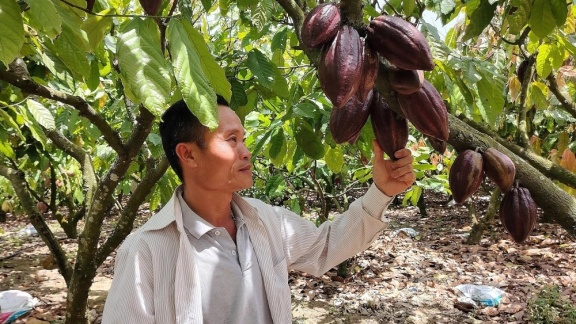 Nông dân Đăk Lăk học làm than sinh học từ vỏ cacao